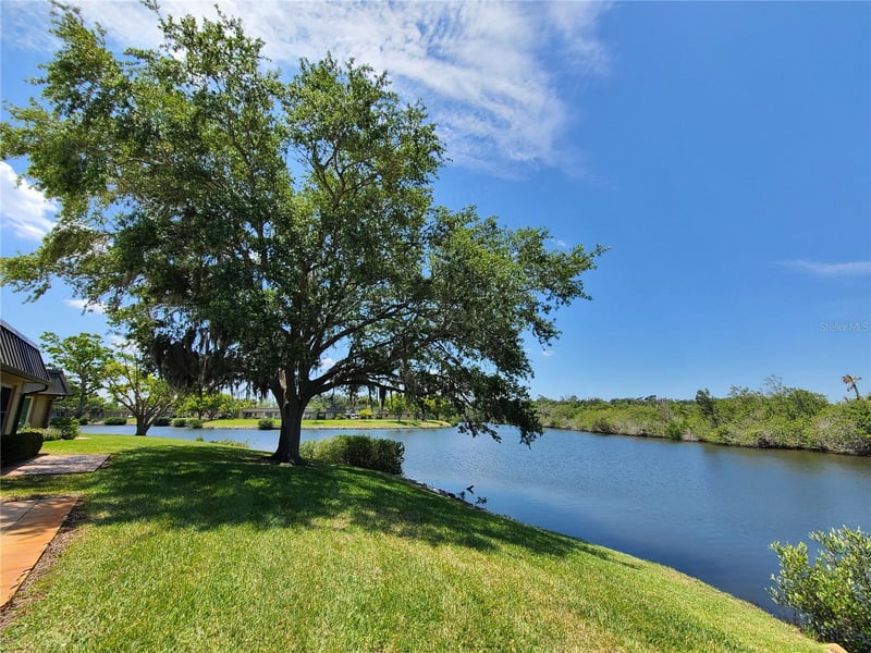 4120 Stratford Dr, New Port Richey, FL 34652