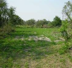 5224 Clarence Gordon Junior Rd, Plant City, FL 33567