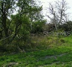 5224 Clarence Gordon Junior Rd, Plant City, FL 33567