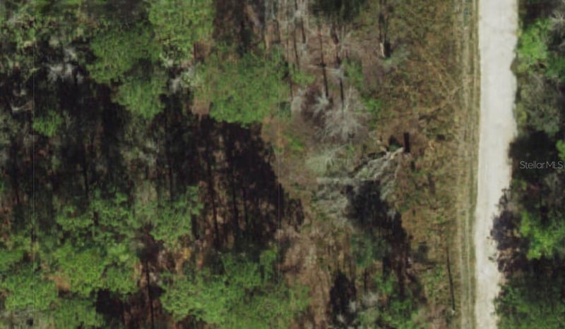 Powell St, New Port Richey, FL 34654