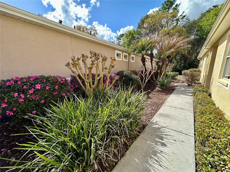 8137 Ponkan Rd, Land O Lakes, FL 34637