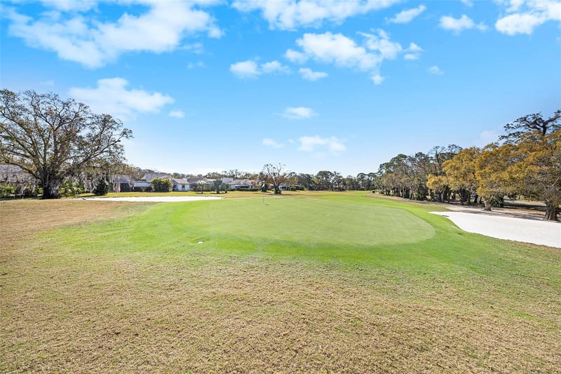 141 Lakeview Way #141, Oldsmar, FL 34677