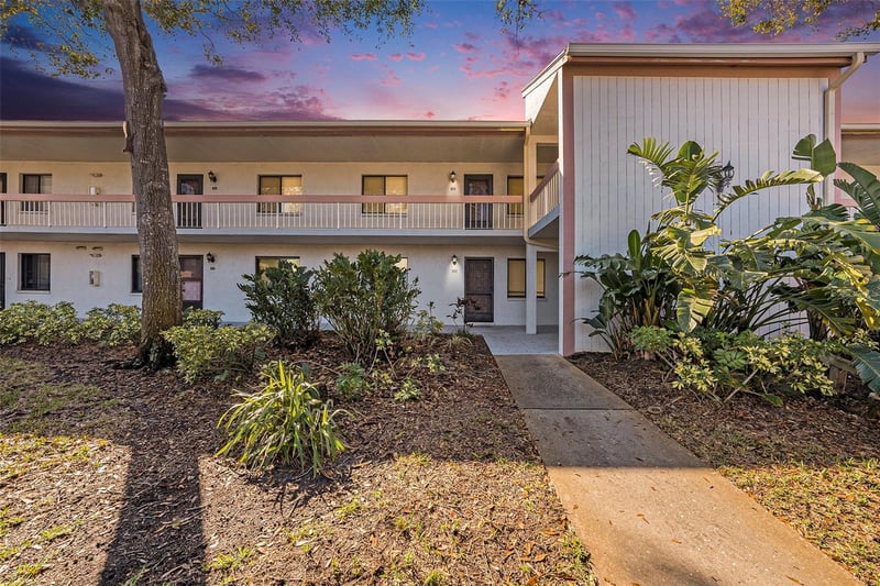 141 Lakeview Way, Oldsmar, FL 34677