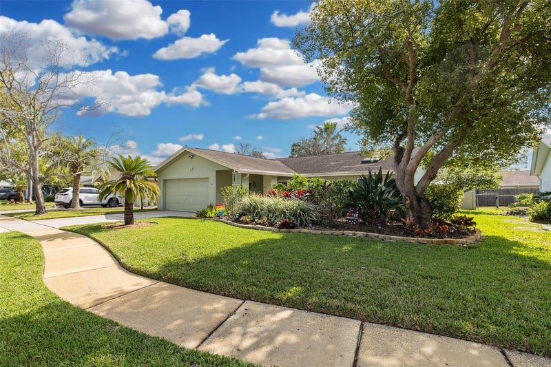 1363 Overlea Dr, Dunedin, FL 34698