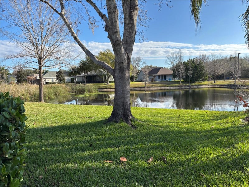 8214 Lagerfeld Dr, Land O Lakes, FL 34637