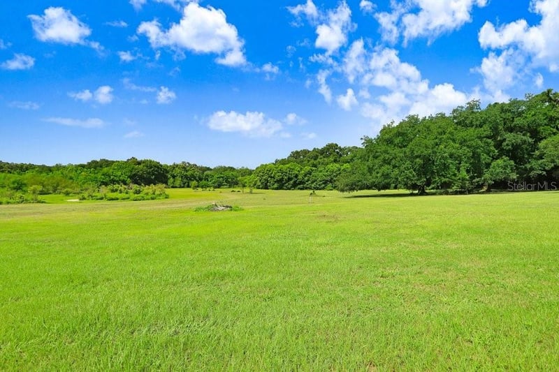Trilby Rd, Dade City, FL 33523
