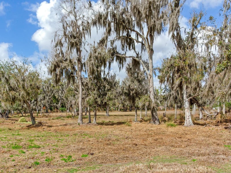 0 S Cr 39, Lithia, FL 33547