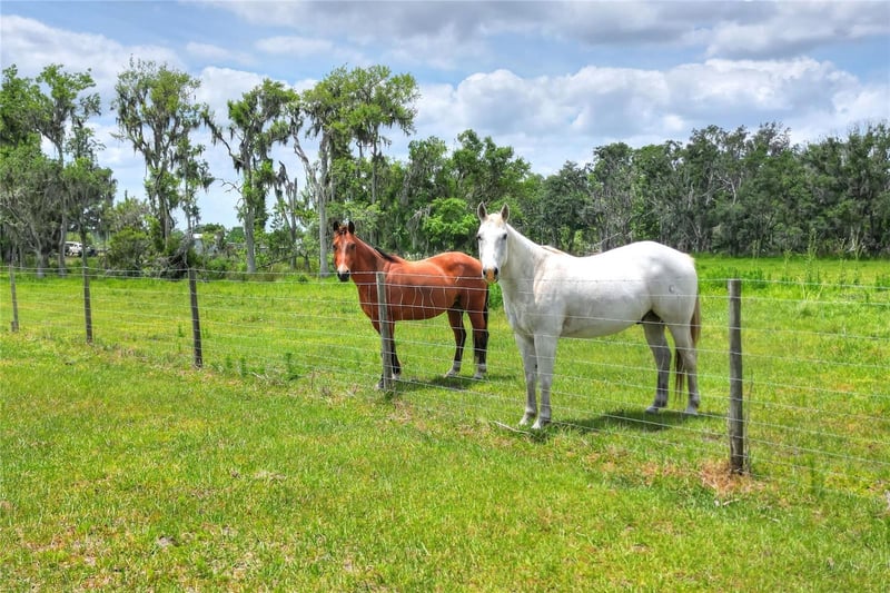 0 S Cr 39, Lithia, FL 33547