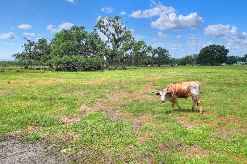 Cr 39 , Lithia, FL 33547