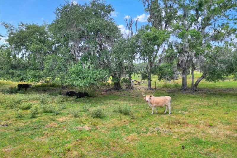 Cr 39 , Lithia, FL 33547