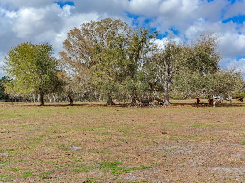 Cr 39 , Lithia, FL 33547