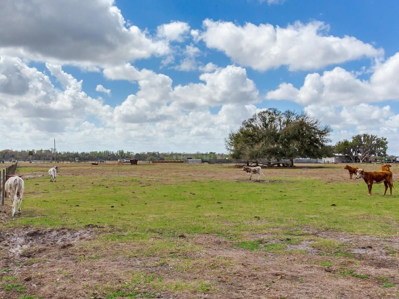 Cr 39 , Lithia, FL 33547