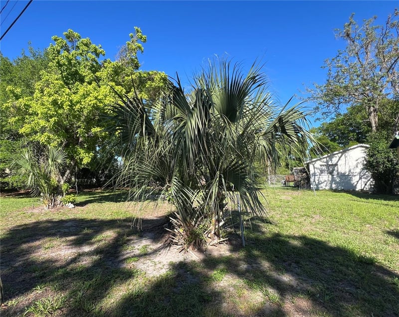 10105 16 St, Tampa, FL 33612