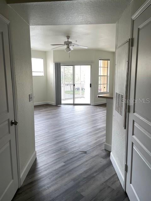 5125 Palm Springs Blvd #11203, Tampa, FL 33647