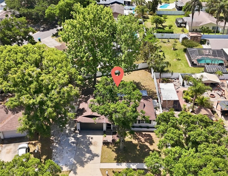 2314 Landon Ter, Palm Harbor, FL 34683
