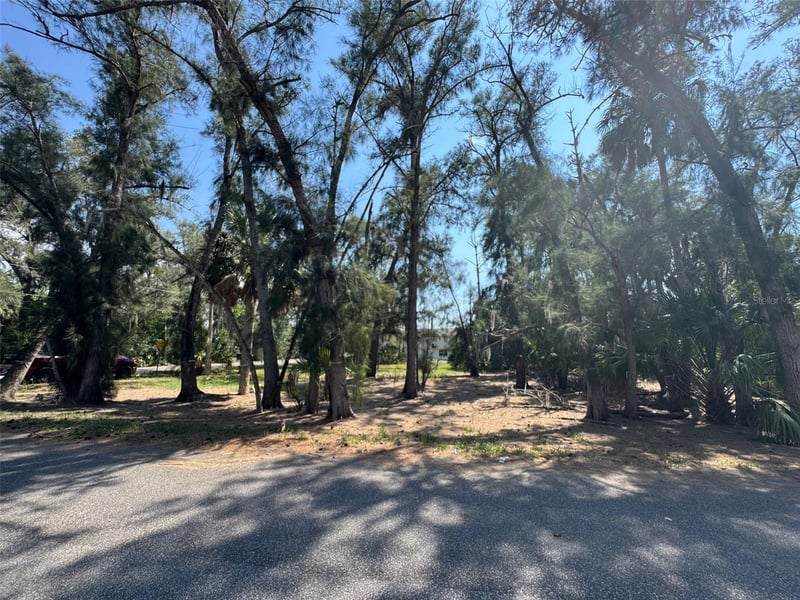 000 Oelsner St, New Port Richey, FL 34652