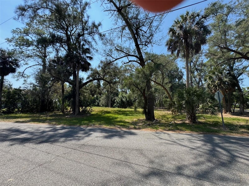 000 Oelsner St, New Port Richey, FL 34652