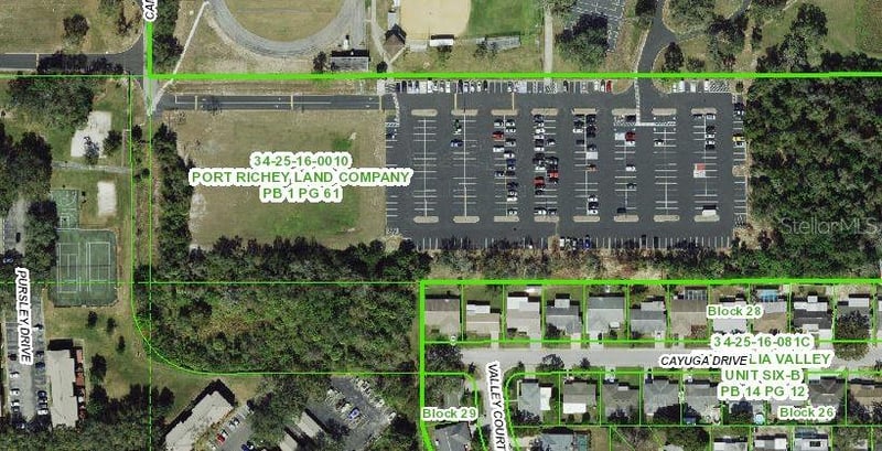 Cayuga , New Port Richey, FL 34653