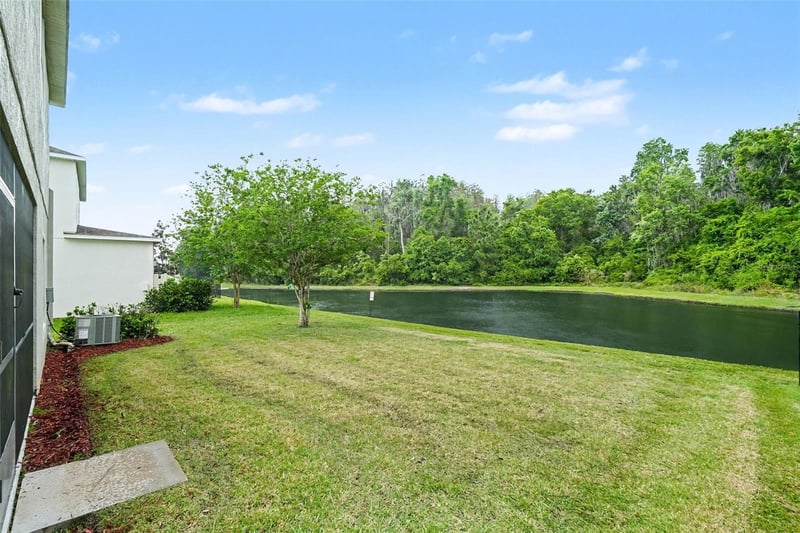 1677 Ludington Ave, Wesley Chapel, FL 33543