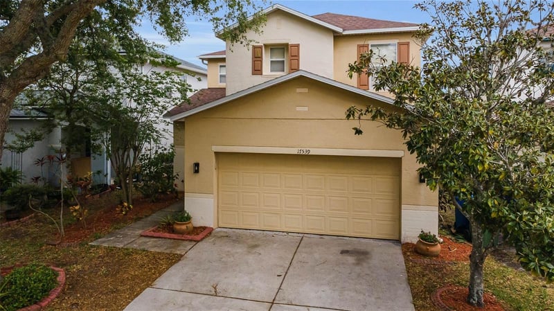 17539 Balmaha Dr, Land O Lakes, FL 34638