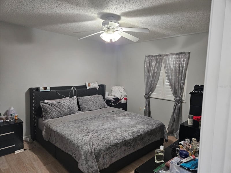 2900 Grovewood Blvd #C, Palm Harbor, FL 34683