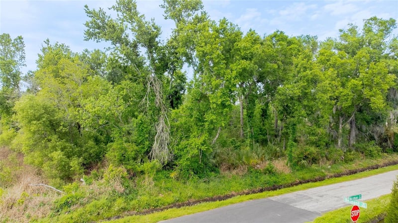 Hickman Ave, Plant City, FL 33563