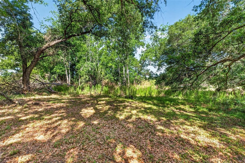 5355 Bernadette Dr, Zephyrhills, FL 33541