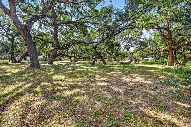 5355 Bernadette Dr, Zephyrhills, FL 33541
