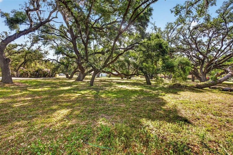 5355 Bernadette Dr, Zephyrhills, FL 33541