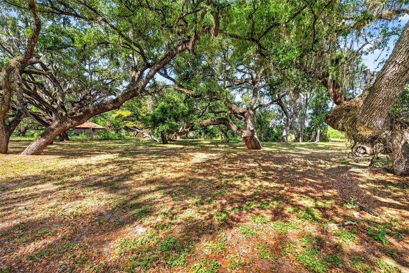 5355 Bernadette Dr, Zephyrhills, FL 33541