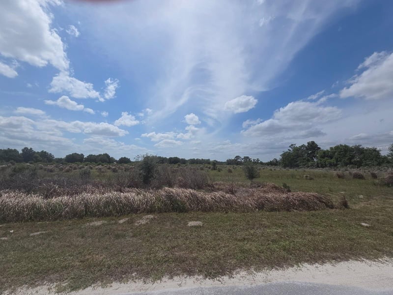 0 Artifact Dr, Zephyrhills, FL 33541