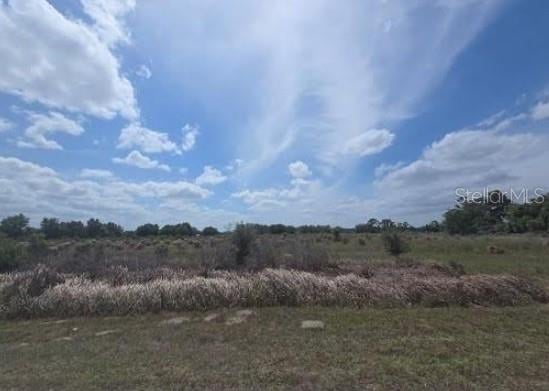 0 Artifact Dr, Zephyrhills, FL 33541