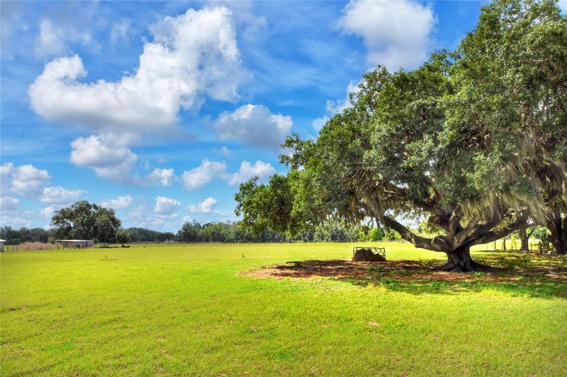 Dorman Rd, Lithia, FL 33547