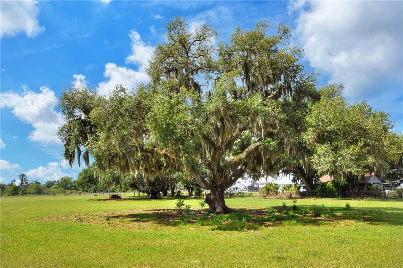 Dorman Rd, Lithia, FL 33547