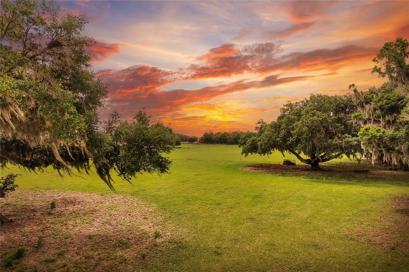 Dorman Rd, Lithia, FL 33547