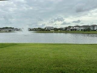 3899 Ivy Springs Ln, Land O Lakes, FL 34638