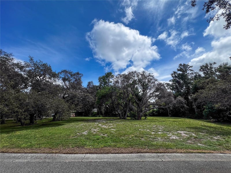 Tampa Rd, Palm Harbor, FL 34684