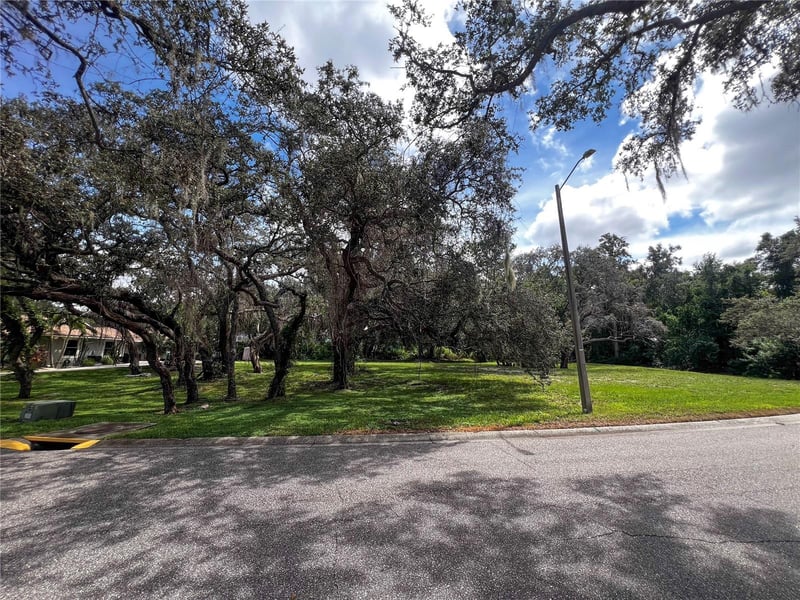 Tampa Rd, Palm Harbor, FL 34684