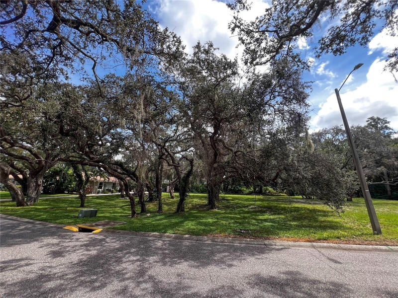 Tampa Rd, Palm Harbor, FL 34684