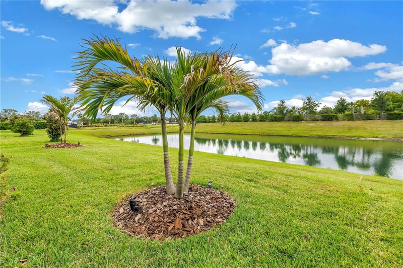 8217 Trimbelle, Parrish, FL 34219