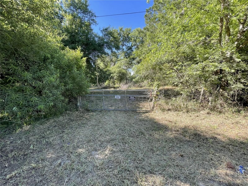 9856 Pangola Loop, Land O Lakes, FL 34639