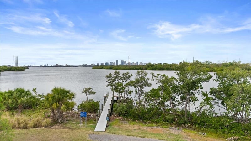 4405 Tuscan Loon Dr, Tampa, FL 33619