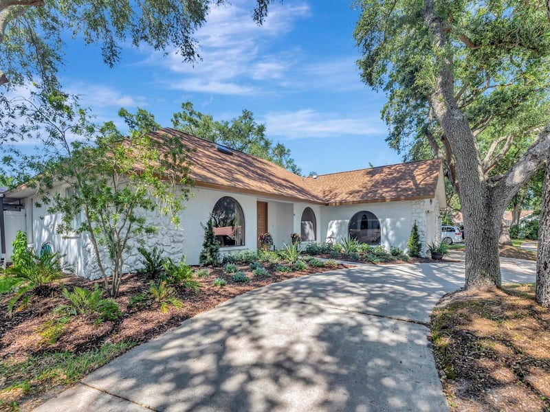 2820 Valencia Ln, Palm Harbor, FL 34684
