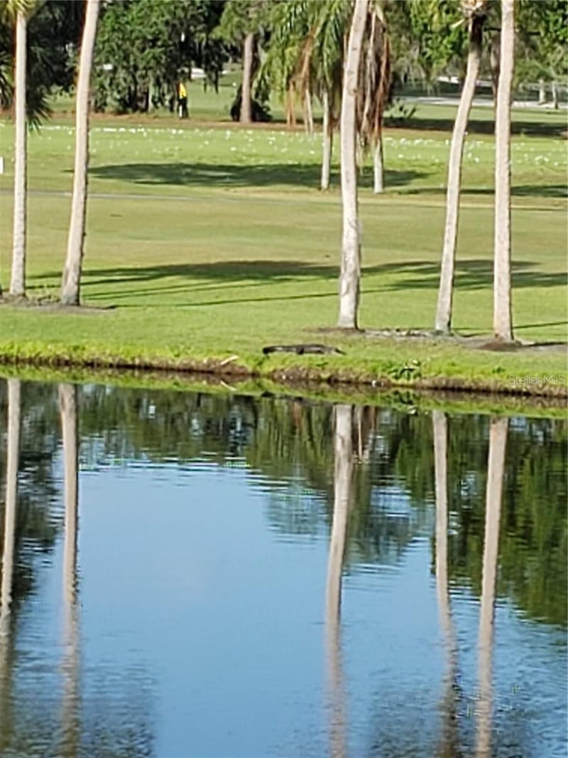 5709 Avista Dr #4108, Sarasota, FL 34243