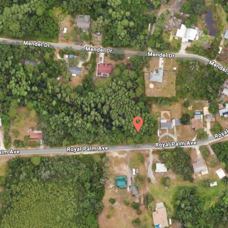 9805 Royal Palm Ave, New Port Richey, FL 34654