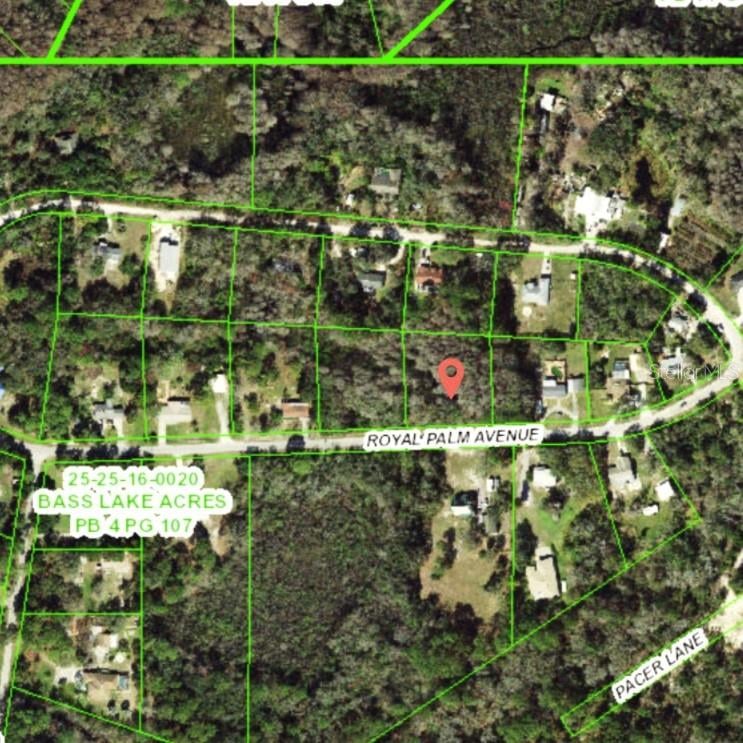 9805 Royal Palm Ave, New Port Richey, FL 34654