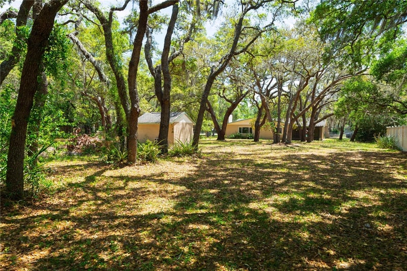 12615 Oak Tree Dr, Hudson, FL 34667