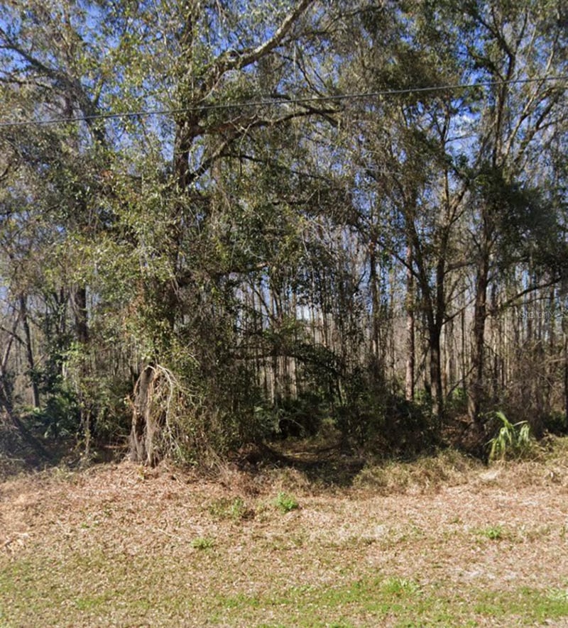 Key Lime, New Port Richey, FL 34654
