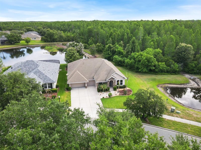 8434 Westerland Dr, Land O Lakes, FL 34637
