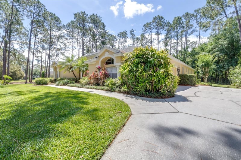 313 Pine Bluff Dr, Lutz, FL 33549